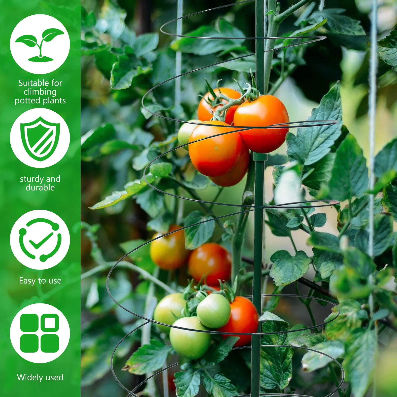 ספירלת תמיכה הצמח מתיחה ירקות לתמוך יתדות אל-חלד עגבניות לגדול תמיכה הכלוב הטבעת להארכה צמחים מטפסים